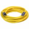 Century Pro Star 50' 12/3 SJTW Lighted Extension Cord