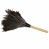 Economy Ostrich Feather 14" Duster